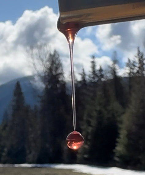 Black Cottonwood Face & Body Oil