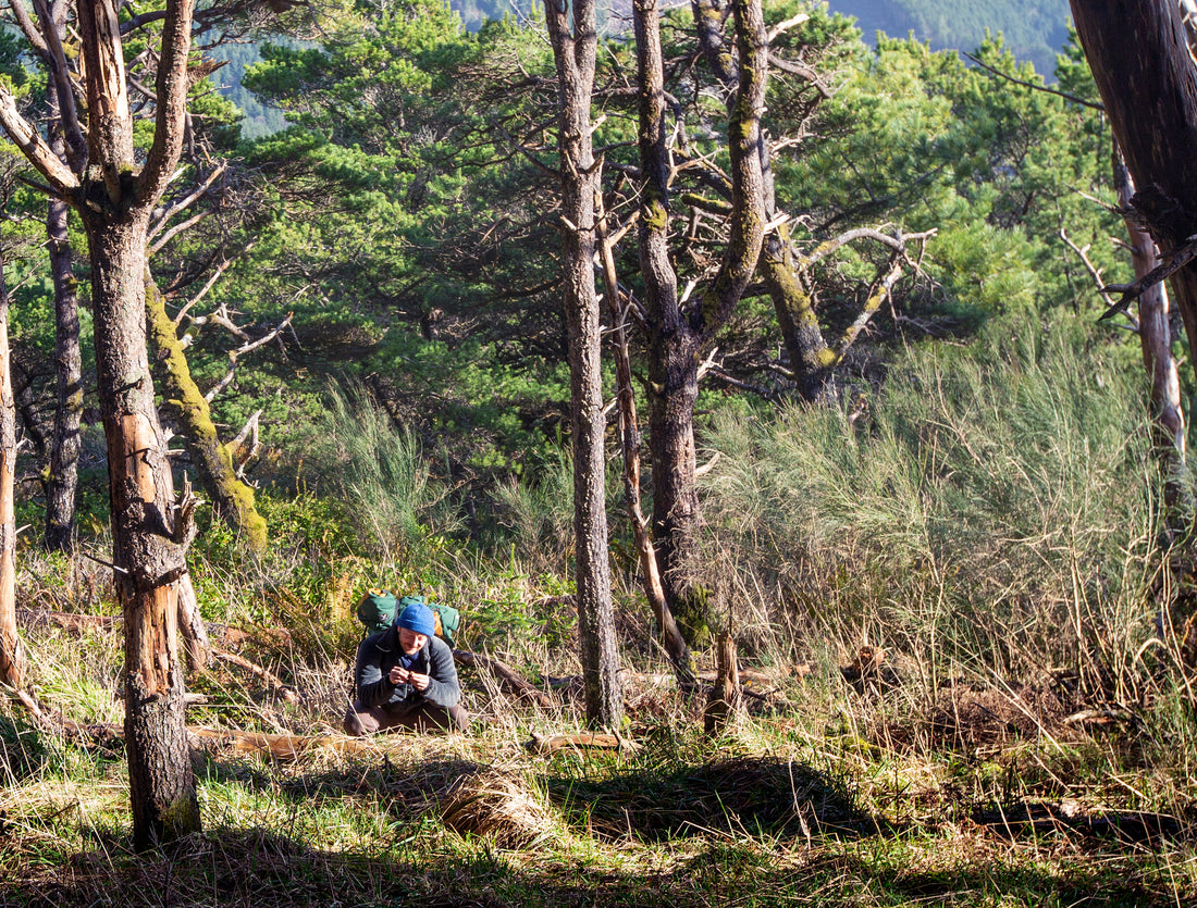 Beyond The Harvest: Rowen Forest's Commitment to Regenerative Foraging