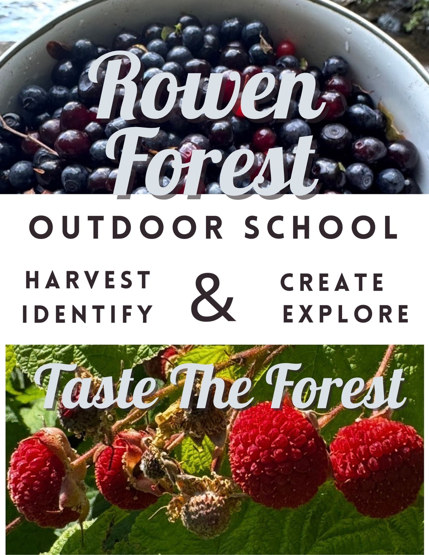 Foraging Classes