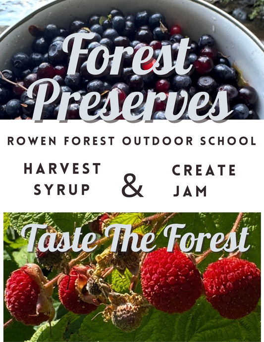 Forest Preserves - Ticket for 1 Class
