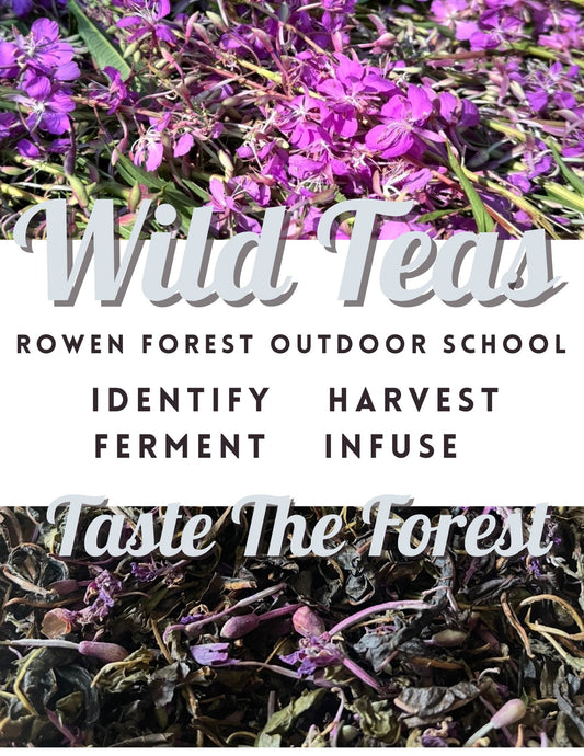 Wild Tea Making - 1 class