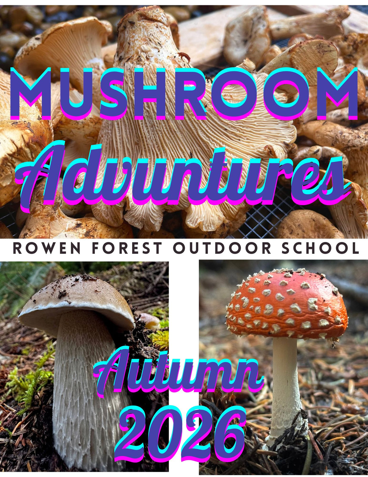 Autumn Mushroom Adventures