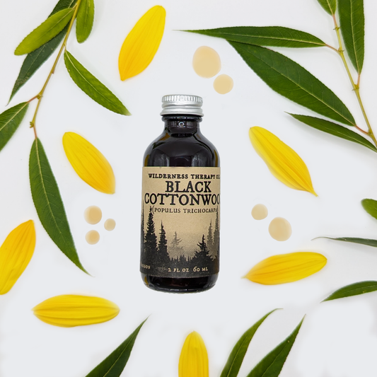 Black Cottonwood Face & Body Oil