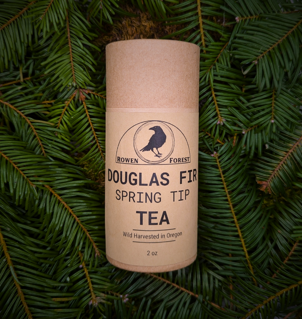 Douglas Fir Spring Tip Tea