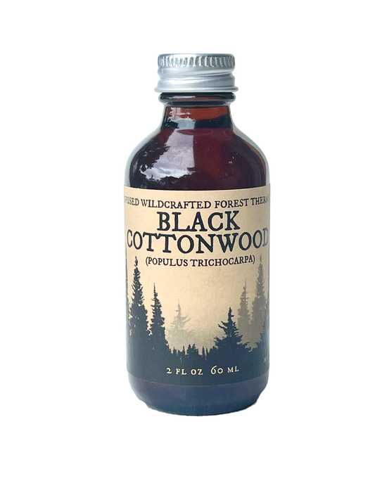 Black Cottonwood - Wilderness Therapy Oil